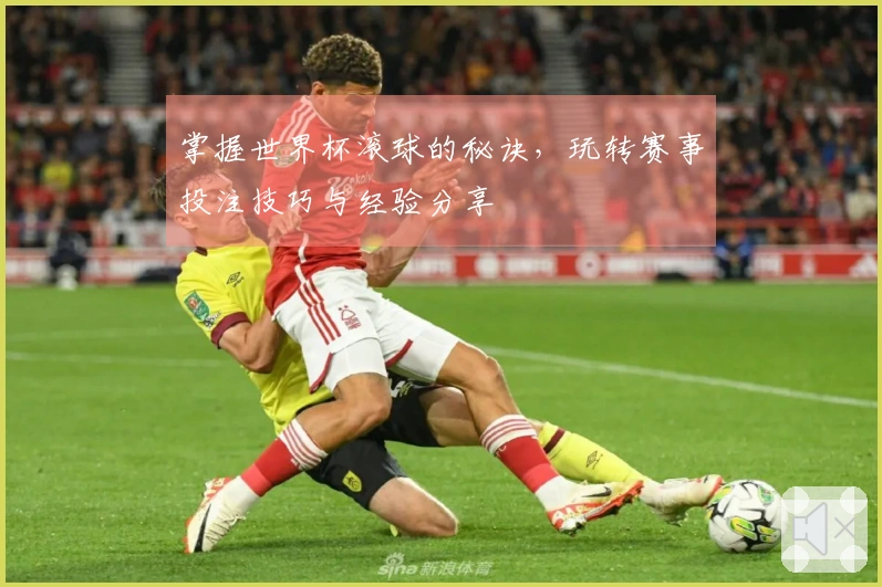 掌握世界杯滚球的秘诀，玩转赛事投注技巧与经验分享