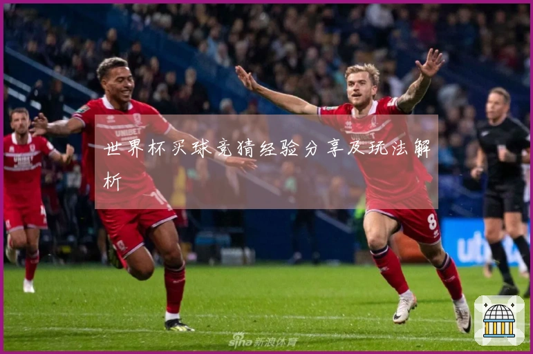 世界杯买球竞猜经验分享及玩法解析