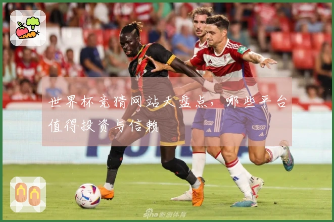 世界杯竞猜网站大盘点，哪些平台值得投资与信赖