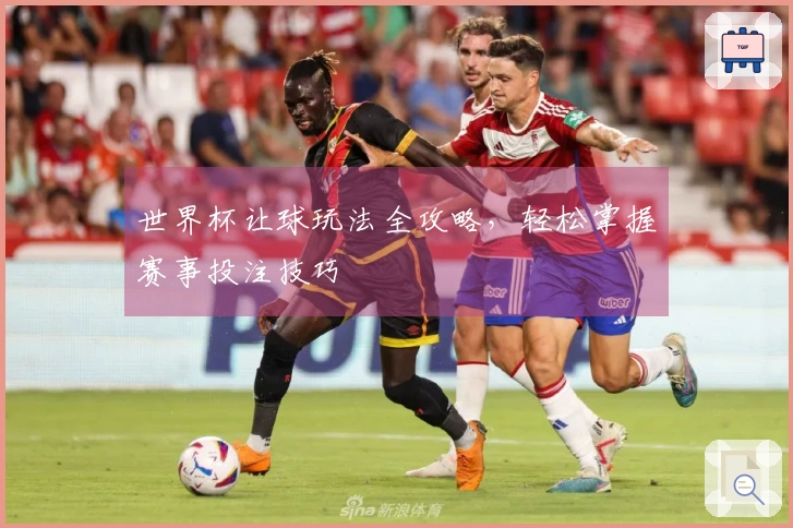 世界杯让球玩法全攻略，轻松掌握赛事投注技巧