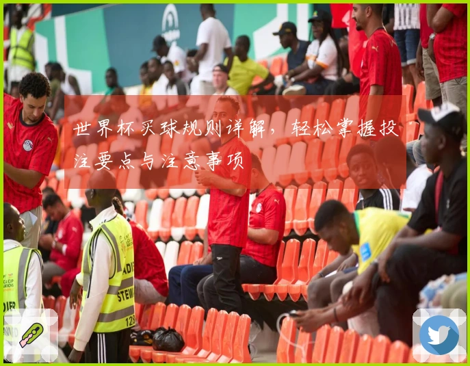 世界杯买球规则详解，轻松掌握投注要点与注意事项
