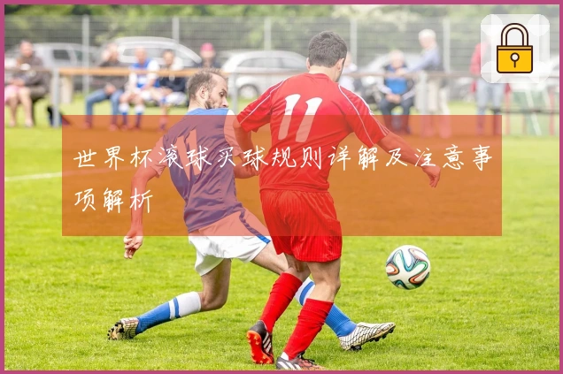 世界杯滚球买球规则详解及注意事项解析